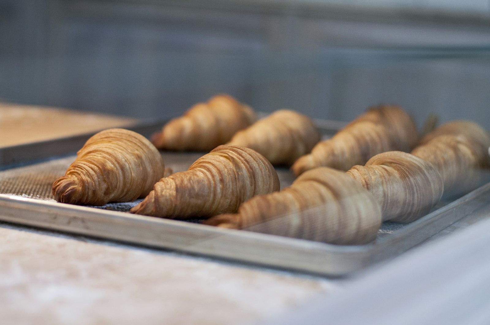 Seven croissants cooling on a metal bakery tray